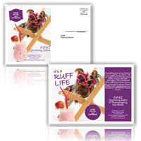 Pet Spa Postcard