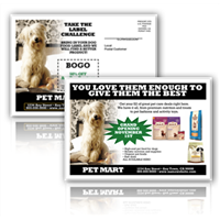 Pet Store Postcard